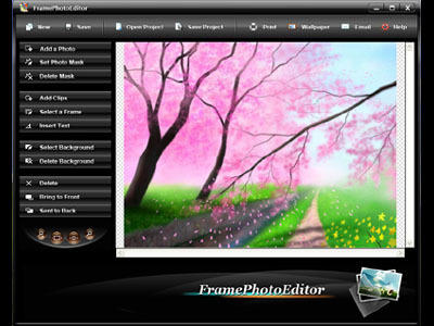 digital picture frame software download